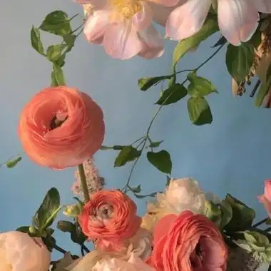 花朵鲜花风景静物头像 相思赋予谁