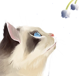 布偶猫手绘创意插画