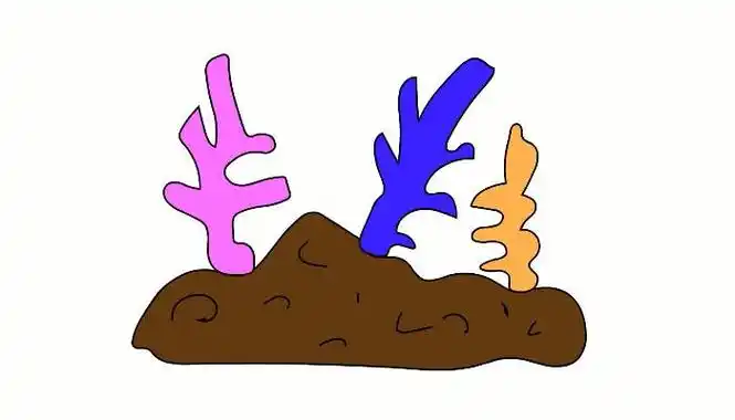 卡通海草珊瑚简笔画