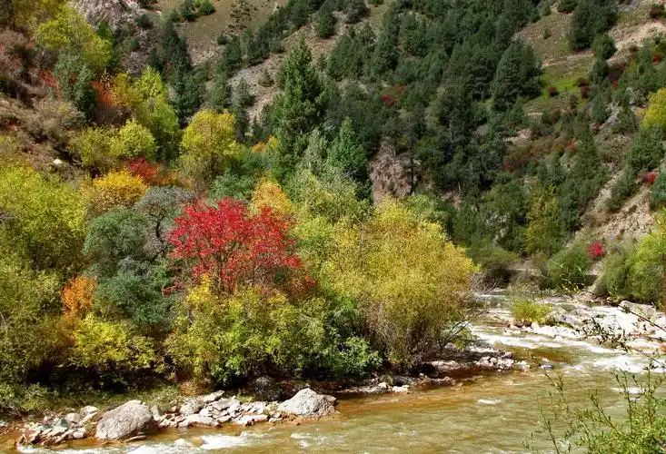 黄南州麦秀林场入选首批全国森林康养林场