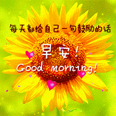 带着晨勃的早安表情包 - 搜狗图片搜索