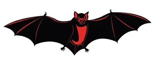 蝙蝠