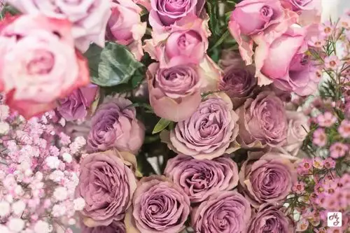 车马中绚烂盛开的ins风花店来袭,一秒回春不是梦!