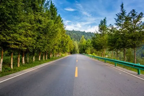 【套图】稻谷黄了,山间公路沿线--蜂鸟论坛照片套图