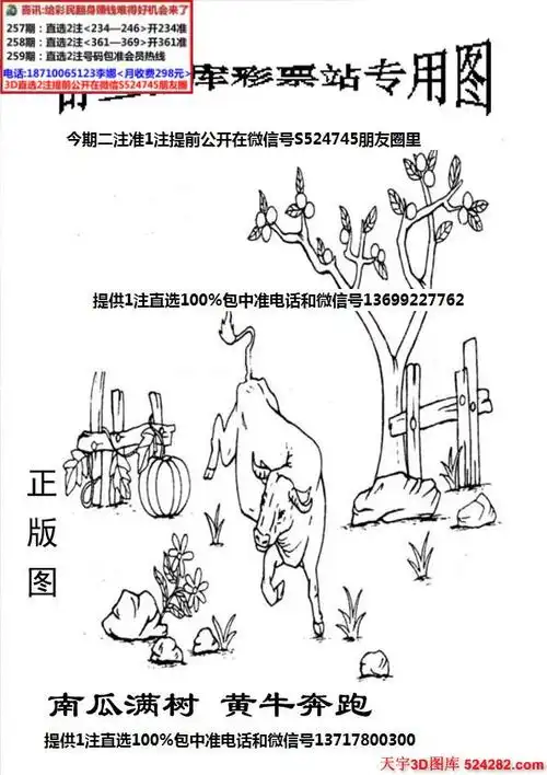 舒兰粮库彩票站专用图