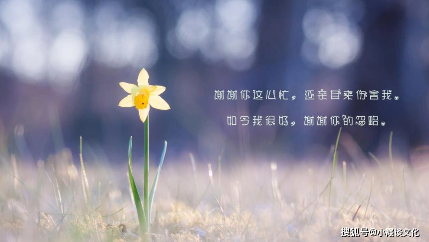 对感情痛到心碎的说说,曾经为爱痴狂,后来为爱忧伤