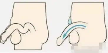 知识丨阿拉伯挤奶法真能使丁丁变大变长 - 小科普