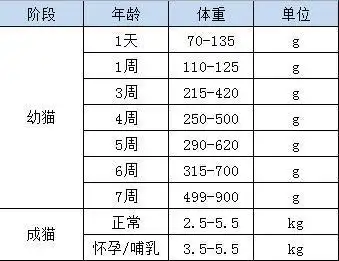 猫咪体重大揭秘来看看世界最重和最轻的猫网友这还是猫么