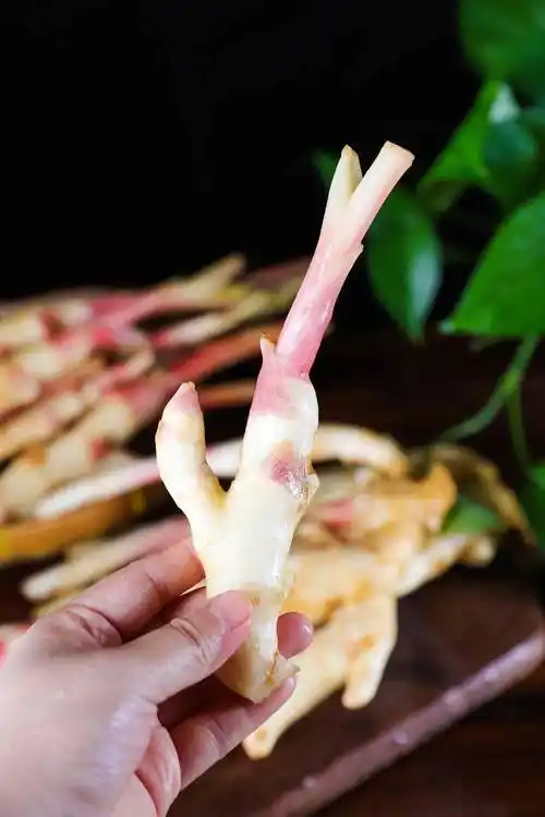 产地食材 ▎江永玉指香姜 ,大瑶山里馈赠的美味,姜姜好的幸福!