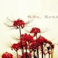 彼岸花的qq头像qq头像彼岸花女生
