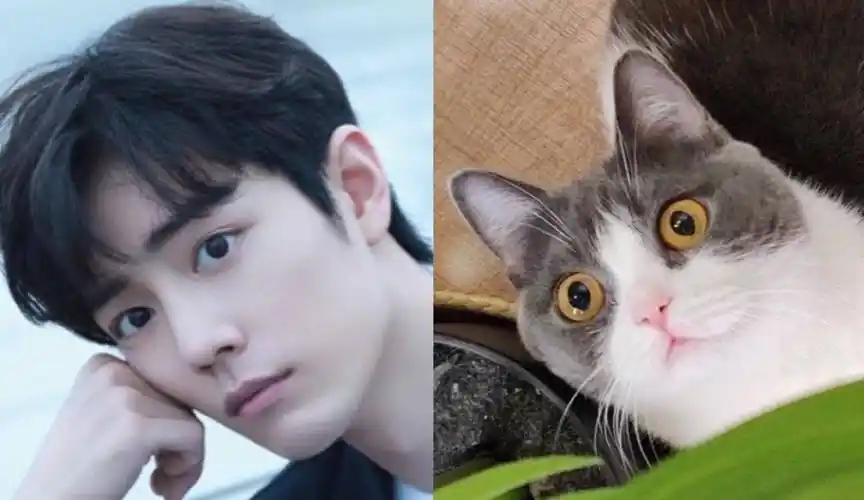 肖战撞脸小猫坚果,果然是亲爸爸,真的太像了!_眼神_殿下_表演