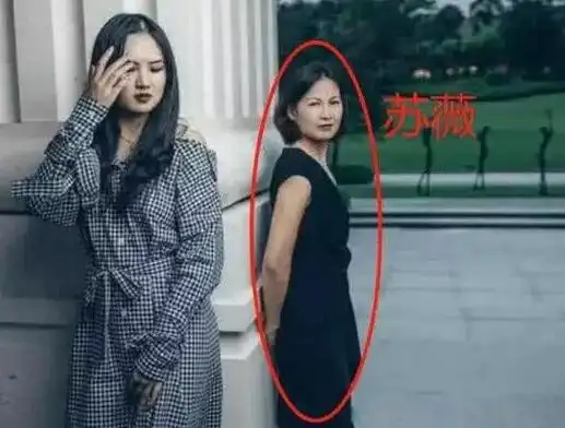 苏薇简历个人资料简介任正非娶了80后苏薇吗