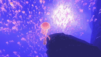 九巨龙·龙城公馆 ▏"奇幻海洋展,海狮大咖秀",五一嗨翻天!