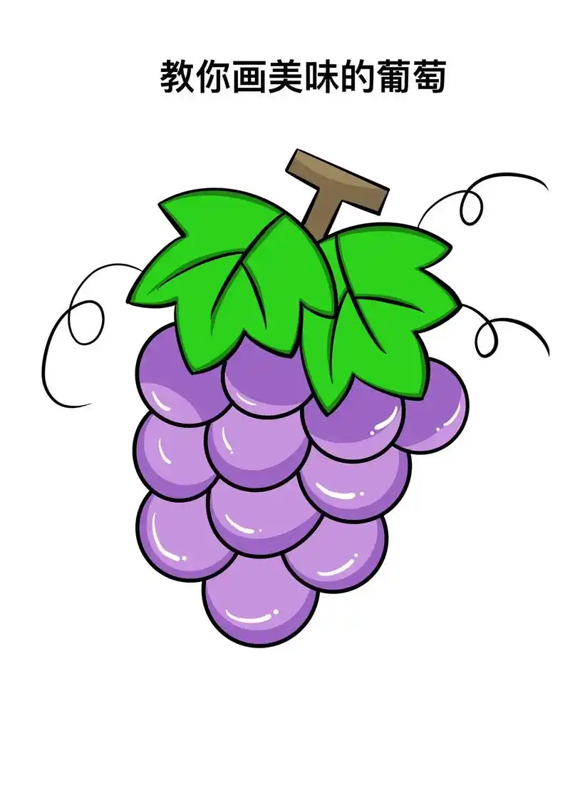 简笔画葡萄教程.