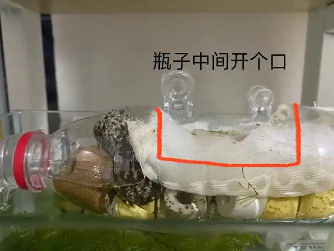 自制过滤器教程