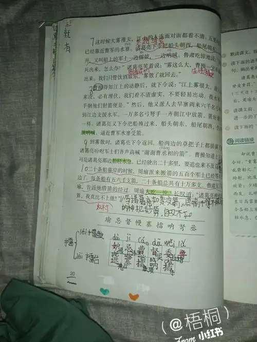 五年级下册第五课笔记