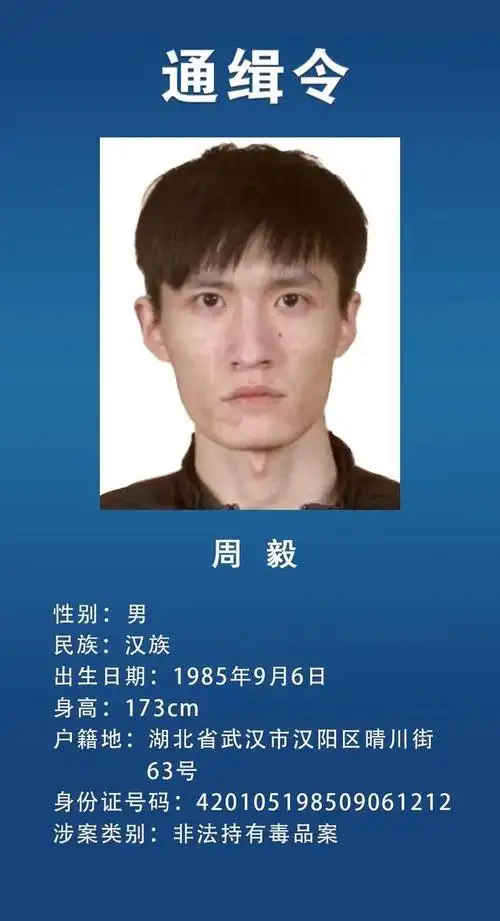 通缉犯查询网在逃人员(通缉犯查询网在逃人员信息) - 网创妙策