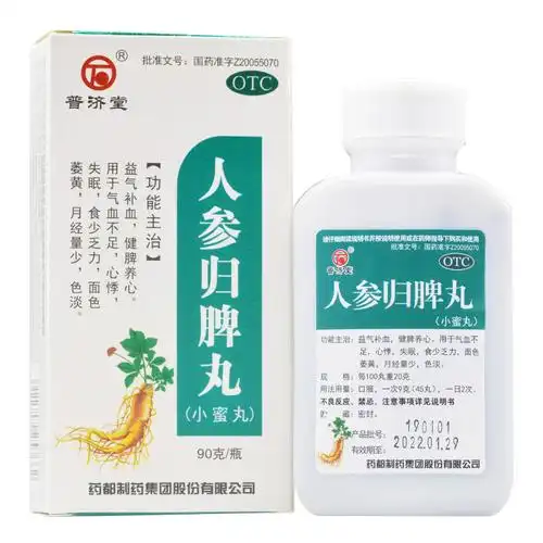 普济堂 人参归脾丸 90g