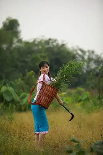 9.9村姑形象,少女心.