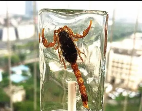 如此吓人棒棒糖你真是敢吃下去吗?看过人都说不敢吃!|侵权|棒棒糖|零