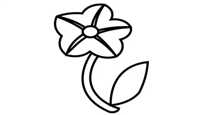 月光花简笔画月光花简笔画怎么画