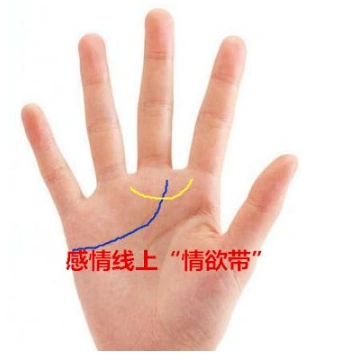 如果在感情线上出现一条环状的纹路,谓之金星带,若是金星带与感情线