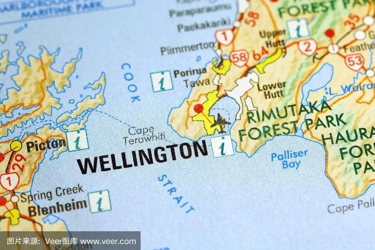 惠灵顿地区的地图