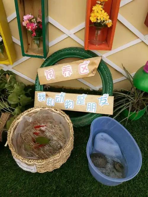 盛世·春天国际幼儿园《小小植物角,快乐伴成长》