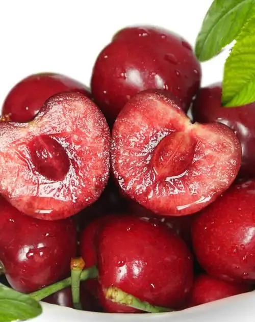 八鲜果海烟台萨米脱特级大果大樱桃产地直供5斤装果径26mm以上