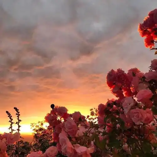 ins潮图朋友圈背景图/高质量/神仙背景