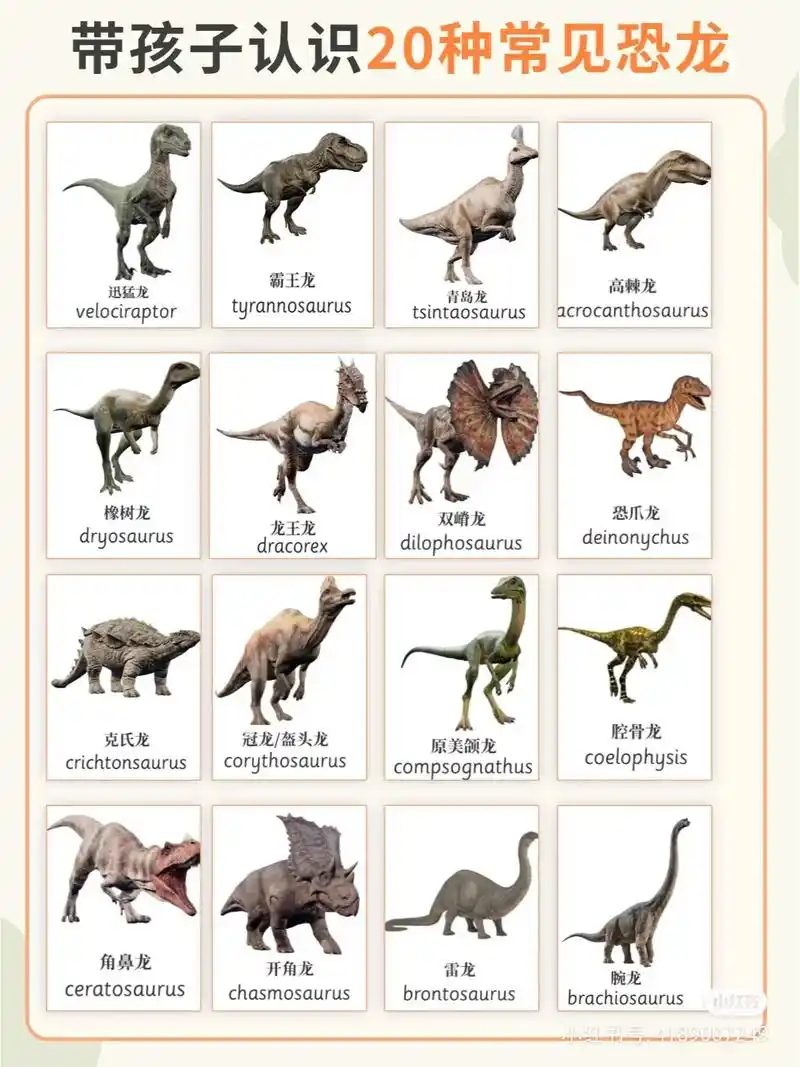 恐龙知识大百科 带孩子认识20种常见恐龙 恐龙是孩子们都知道 - 抖音