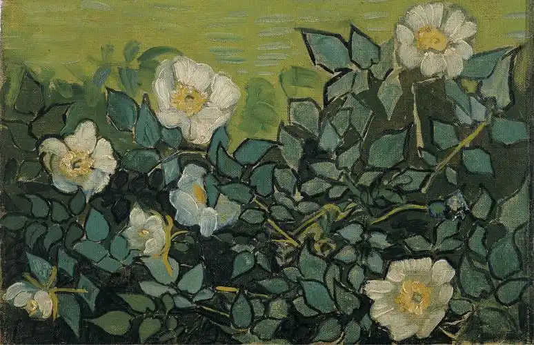 野玫瑰wildroses梵高vincentvangogh油画作品欣赏