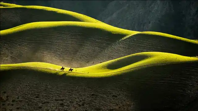 新疆喀拉峻草原美人背,要拍出迷人的线条,用什么镜头和光线