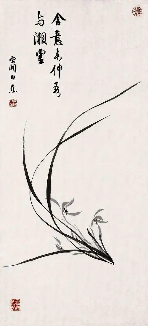 白蕉《国画兰花》作品欣赏国画兰花兰花画国画有关中国画兰花图片大全