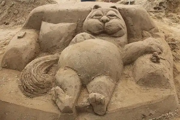 本周末沙雕亲子课开始招募啦!