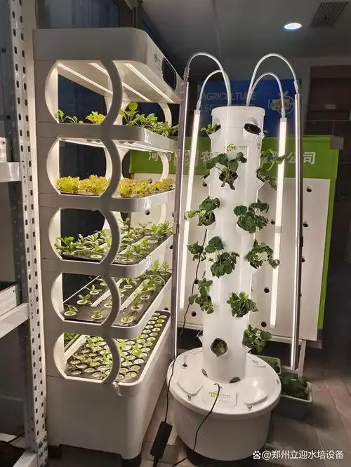 nft系统和苗床系统等,它们都可以用于家庭室内种植,阳台种菜,劳动教育