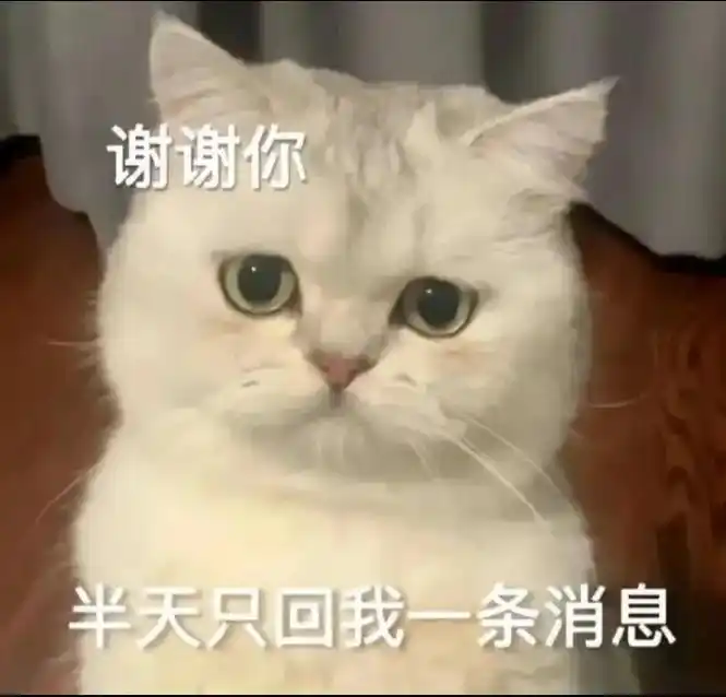 猫猫表情包来喽.#猫猫:你怎么没有边界感呀 这个世界不能没有 - 抖音