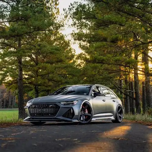 地表最强买菜瓦罐奥迪rs6