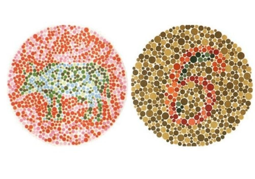 色盲测试图第五版