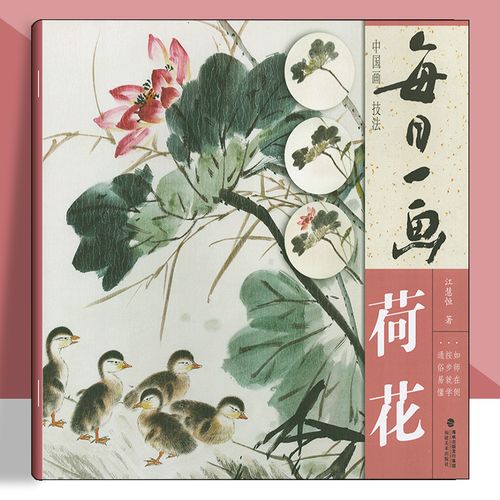 每日一画 荷花中国画技法 中国画技法学习入门到精通专业美术绘画技巧