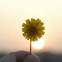 释然自己图片 放下执着心释然自我带字图片_微信头像图片大全