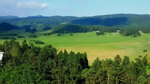 102万亩高山森林大草原.