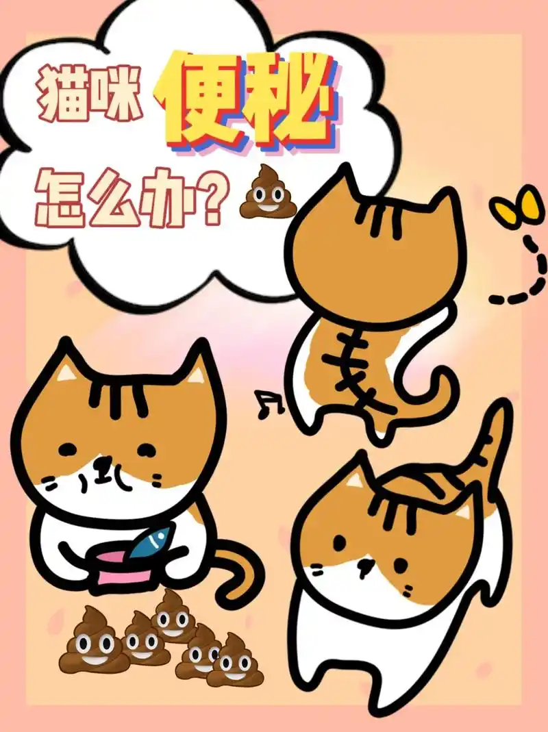 猫咪便秘怎么办?一分钟教你解决问题!1.在正常进食的情况下, - 抖音