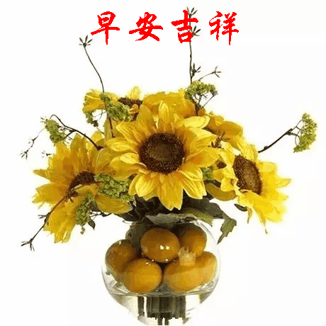 早安问候语图片