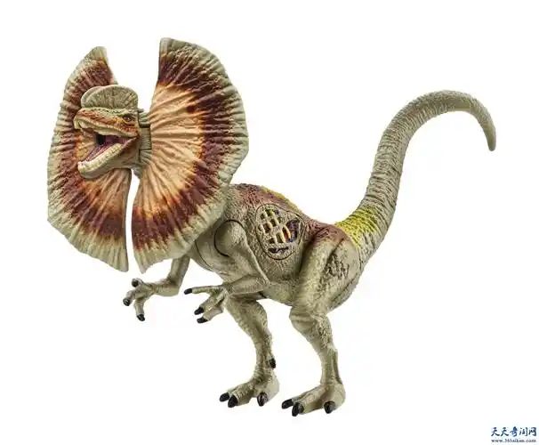 琥珀中发现恐龙尾巴