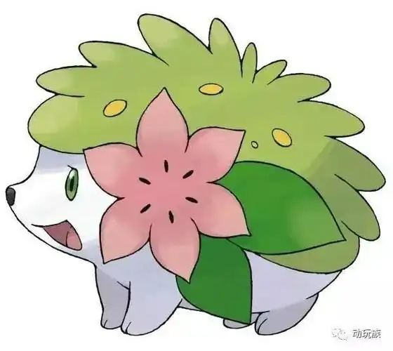 精灵宝可梦草系精灵图鉴(精灵宝可梦旧宠新官方名大全)(18)