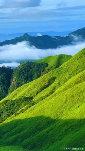 大草原风光手机壁纸