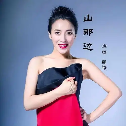 我们是歌手郭涛个人资料