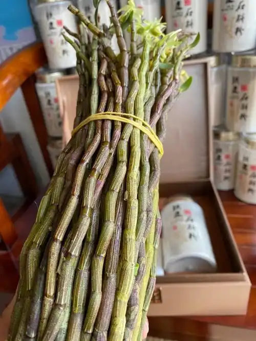 天目山铁皮石斛