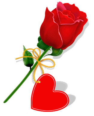 314_389竖版 竖屏gif 动态图 动图